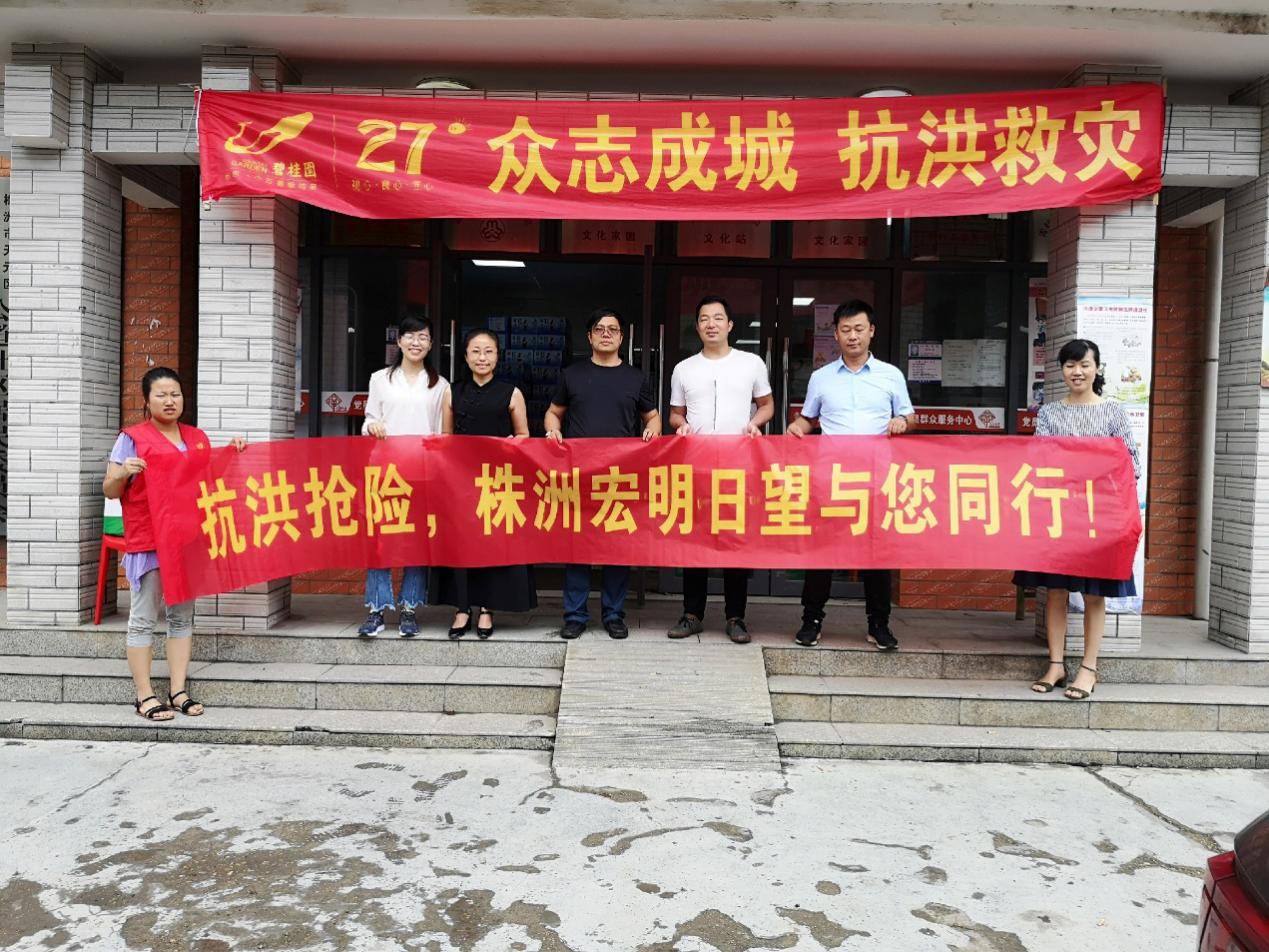 万搏在线网站,宏明日望,株洲电子科技,湖南电容器,株洲电容器,电容器